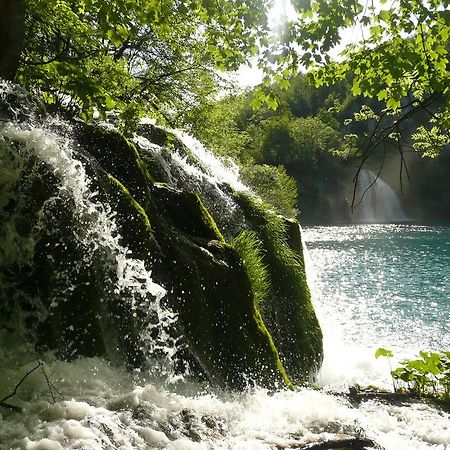 Отель Plitvice Pansion Lovric Плитвицкие озёра Экстерьер фото