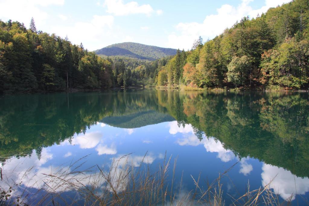 Отель Plitvice Pansion Lovric Плитвицкие озёра Экстерьер фото